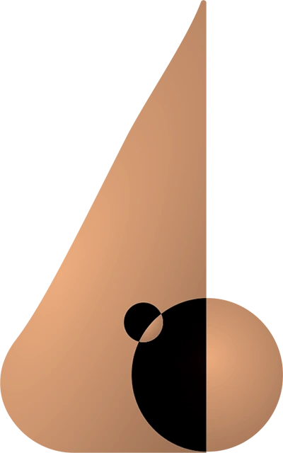 O ilustrație care sugerează conturul unui nas